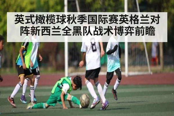 英式橄榄球秋季国际赛英格兰对阵新西兰全黑队战术博弈前瞻